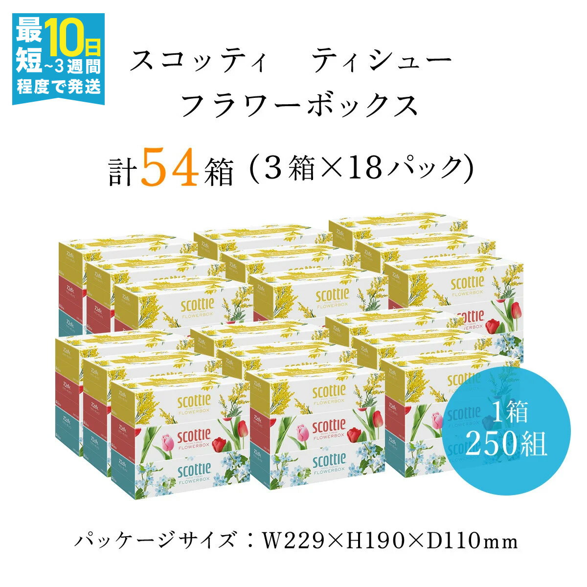 【ふるさと納税】 【選べる配送月】スコッティ ティシュー フラワーボックス 250組 54箱 (1ケース3箱×18パック) ボックスティッシュ 箱 ティッシュ ティシュー 長持ち リピート 高品質 素敵 保管 クレシア ティッシュペーパー 日用品 生活必需品 まとめ買い 京都府 FCAS003