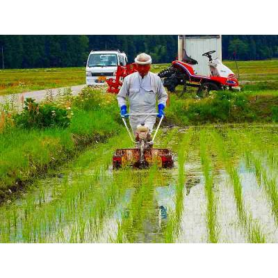 ふるさと納税 南魚沼市 南魚沼産(しおざわ)こしひかり　栽培期間中農薬を8割減らして育てたお米　精米10kg(5kg×2袋) |  | 02
