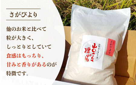 【令和7年11月以降発送】【6回定期便】さがびより（白米） 10kg / 米 お米 ごはん ご飯 ブランド米 定期便 九州 [IAS017]