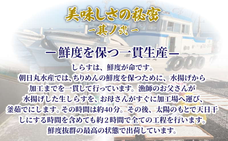 しらす 釜揚げ 200g 先行予約 2025年5月発送 ちりめんじゃこ じゃこ しらす ちりめん 小魚 魚 海鮮 魚介類 魚貝 シーフード いわし 鰯 おかず おつまみ 惣菜 弁当 ご飯 のお供 ごは