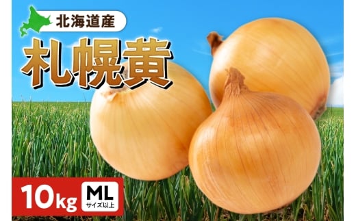 札幌黄 玉ねぎ 北海道産 10kg MLサイズ以上