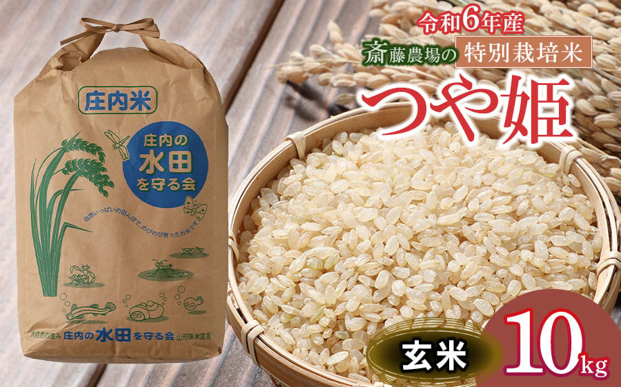 
【令和6年産】 斎藤農場の特別栽培米 つや姫 玄米 10kg(10kg×1袋) 山形県鶴岡市 K-645
