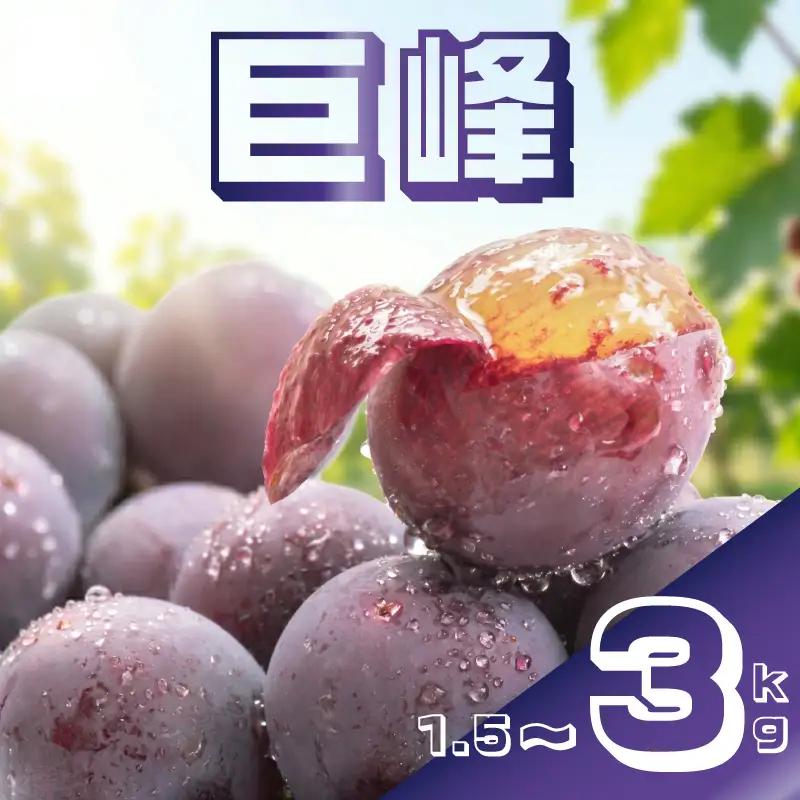 新鮮産直！巨峰 約2kg 【2026年発送】 葡萄 フルーツ ぶどう RYE