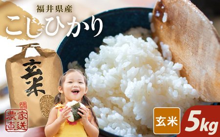 【先行予約】【令和8年産・新米】【玄米 5kg】 コシヒカリ 5kg 【2026年10月上旬以降順次発送】 [A-8934_02]