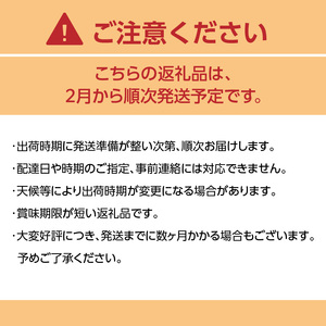 【先行受付：2025年2月発送開始】博多あまおうＧ270g×2パック｜ＪＡふくおか八女　002-022