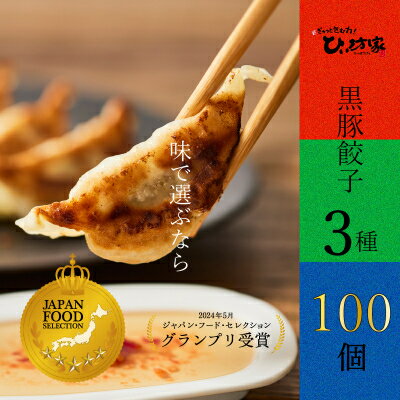 【ふるさと納税】ひぃ坊家の黒豚餃子3種100個(タレ付)【配送不可地域：離島】【1185992】