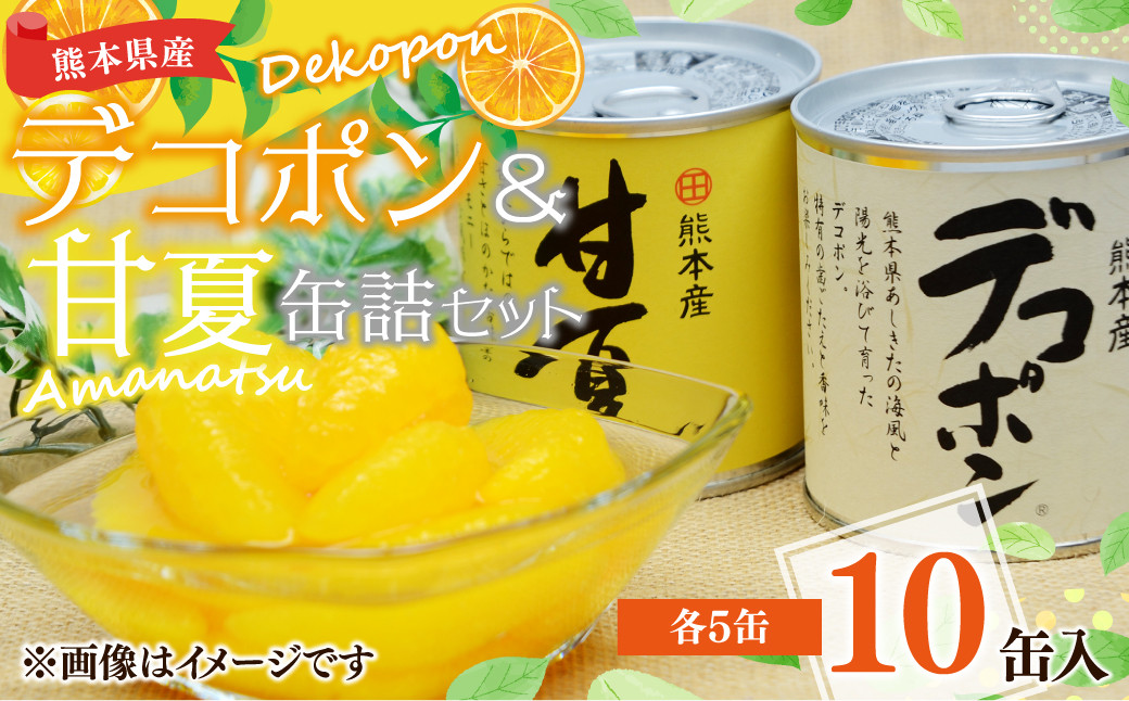 
【熊本県産】デコポン 甘夏 缶詰 セット 10缶入 (各5缶) 果物 柑橘 フルーツ
