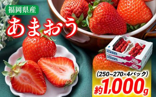 【冬】あまおう 約1000g いちご 苺 フルーツ 九州産 冷蔵 送料無料 イチゴ 果物 ※北海道・沖縄・離島は配送不可 大木町産 南国フルーツ CO002