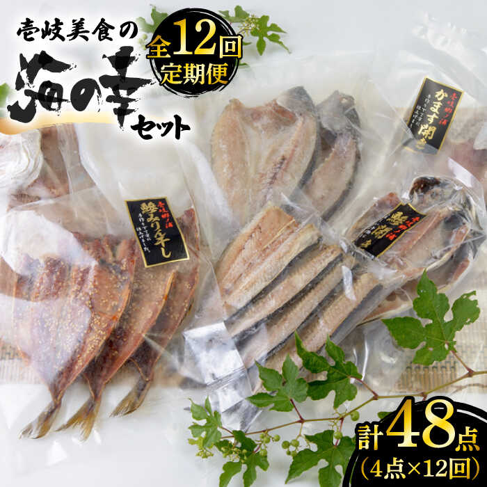 【ふるさと納税】【全12回定期便】壱岐美食の海の幸セット [JBU020] 干物 刺身 アジ イカ カマス 冷凍配送