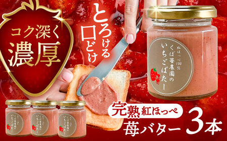 いちごバター 3本 苺 イチゴ ジャム バター【配達不可：離島】 / くぼ苺農園[AECJ023]