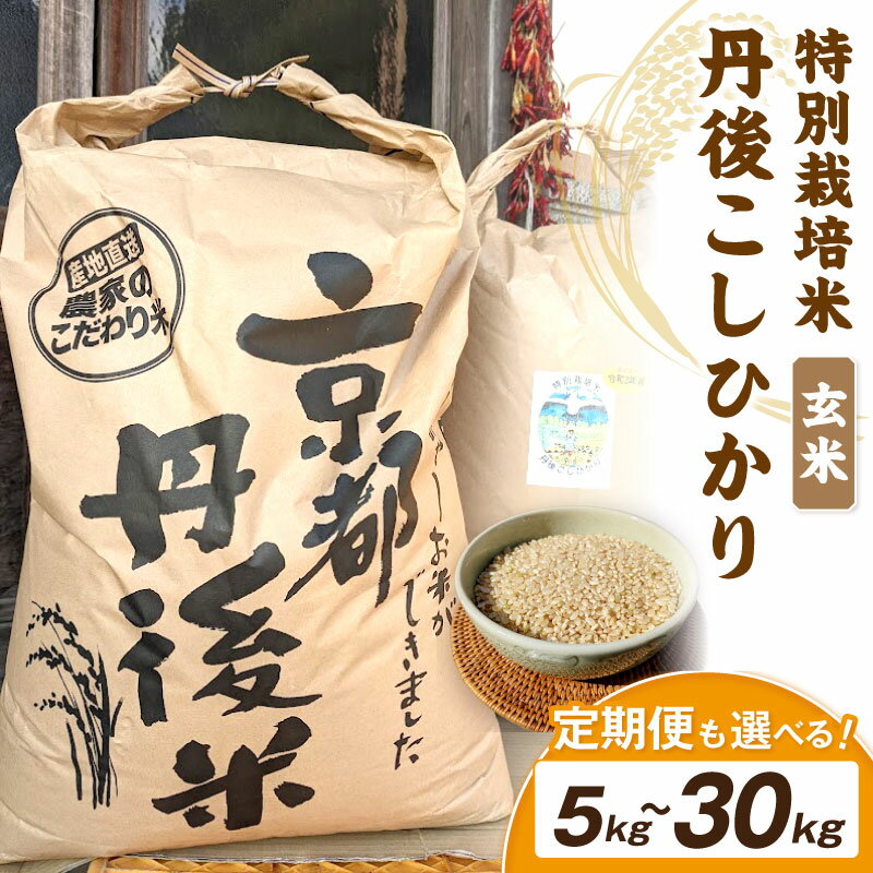 【ふるさと納税】【1回・6回定期便】玄米 令和8年産 丹後こしひかり 玄米 5kg 10kg 30kg 1回 6回【特別栽培米】新米 選べる 内容量 回数 配送月 玄米 こしひかり 5キロ 10キロ 30キロ 特別栽培 玄米 2026年産 ふるさと納税 こしひかり ふるさと納税 定期便