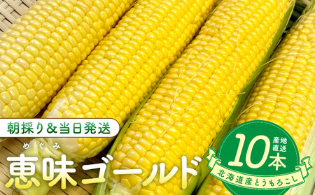 北海道産とうもろこし（恵味ゴールド10本）