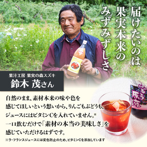 大江の恵6本ギフト山ブドウ原液・ラ・フランス・ぶどう・紅玉各1000ml） 003-023