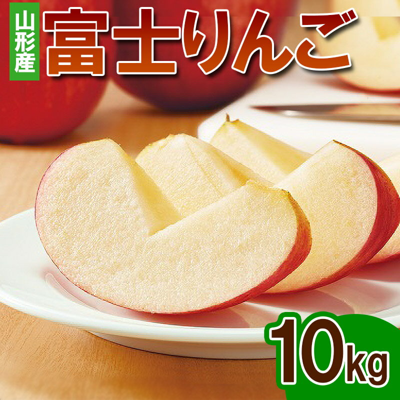 【ふるさと納税】富士りんご 秀 10kg(24玉～40玉) FY24-073