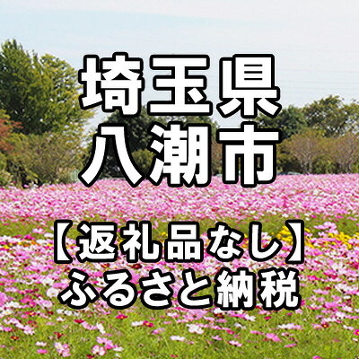 【ふるさと納税】埼玉県八潮市への寄付（返礼品はありません）
