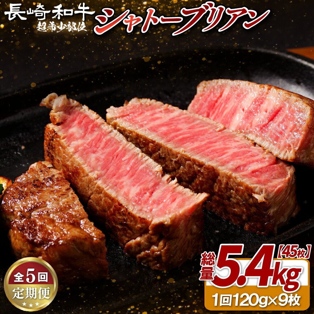 【ふるさと納税】【全5回定期便】長崎和牛 A5等級 シャトーブリアン 120g×9枚 総量45枚 5.4kg 【田中精肉店】シャトーブリアン ヒレ フィレ ステーキ 赤身 和牛 黒毛和牛 牛肉 希少部位