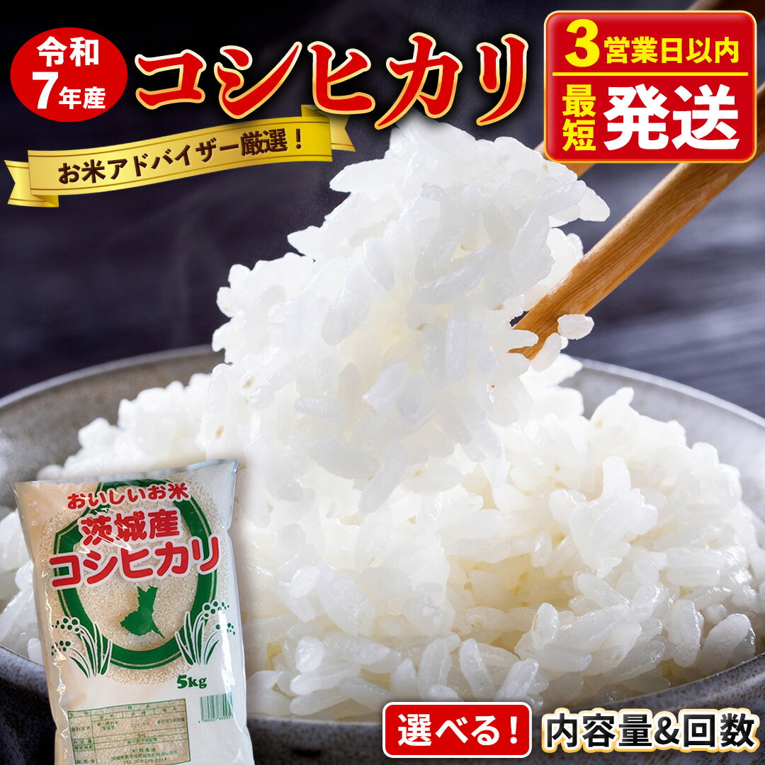 【ふるさと納税】コシヒカリ 精米 5kg 10kg 最短3～7営業日出荷 令和7年産 産地直送 茨城県 城里町 精白米 米 ご飯 こしひかり 米 白米 精米 単一原料米