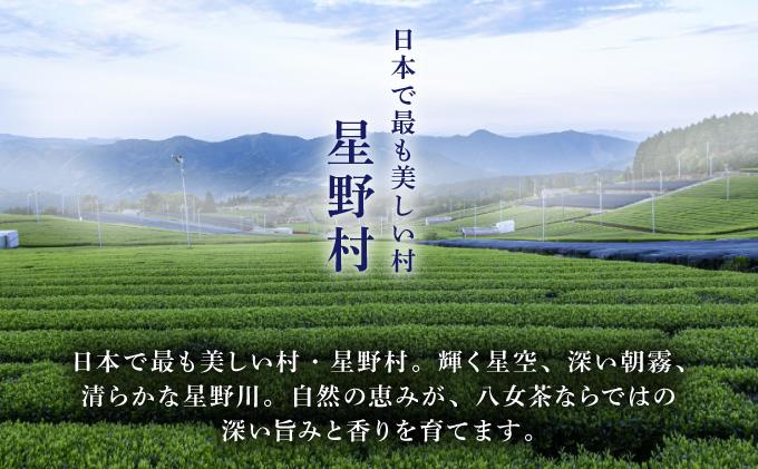  八女茶 伝統 本玉露 50g×2袋【奥八女星野村】