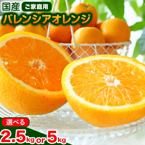 【ふるさと納税】【2025年分先行予約】国産 バレンシアオレンジ ご家庭用 選べる 約2.5kg 約5kg 主井農園《6月上旬-8月中旬頃出荷》 和歌山県 日高町 果物 フルーツ オレンジ バレンシア おれんじ みかん 柑橘 送料無料