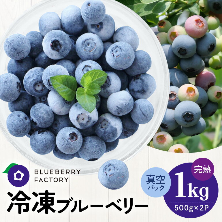 【ふるさと納税】 冷凍 ブルーベリー (真空パック保存) 1kg パック(500g×2) ブルーベリー 果実 冷凍 ベリー フルーツ 果物 日付指定可 岐阜県 川辺町 A016-012