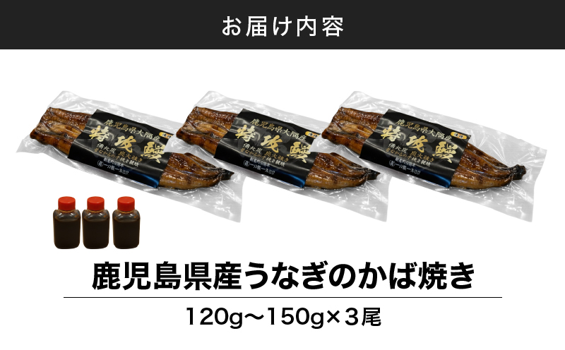 鹿児島県産うなぎのかば焼き 3尾　KN174-001-03