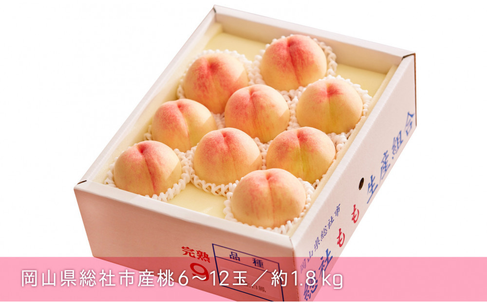 総社もも生産組合　6月-7月早生の桃　自家用1.8kg【6月下以降発送】