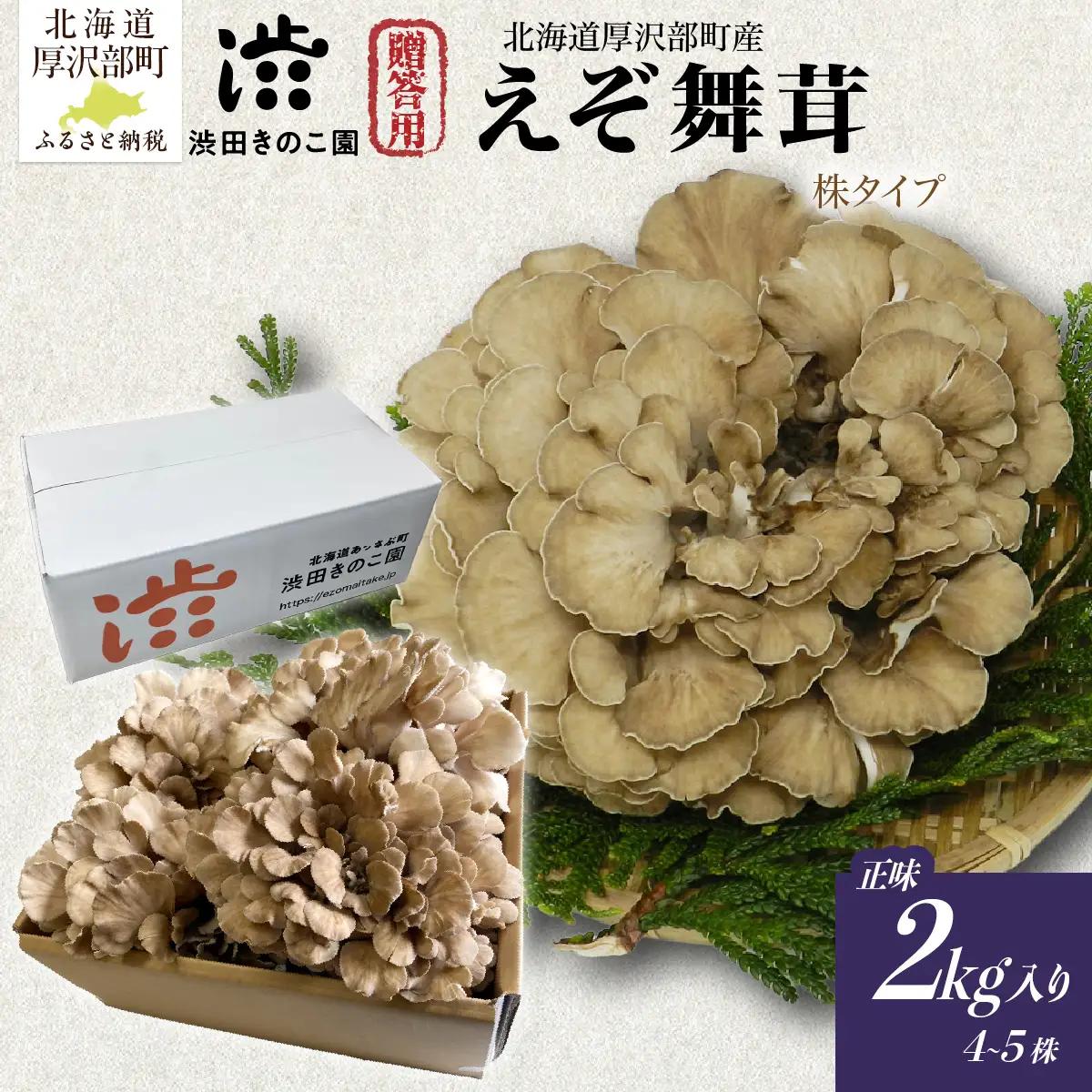 【肉厚・香り豊か】厚沢部の極み えぞ舞茸 正味2kg入り (4～5株) 贈答用（株タイプ） 北海道厚沢部町産 渋田きのこ園 冷蔵直送 ASM008
