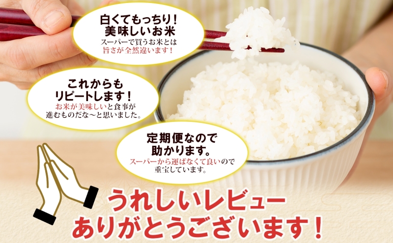 定期便 12ヶ月連続12回 北海道産 ゆめぴりか 精米 5kg 米 新米 特A 白米 お取り寄せ ごはん 道産米 ブランド米 1年 お米 ご飯 おまとめ買い ホクレン 北海道 倶知安町 【定期便・お米