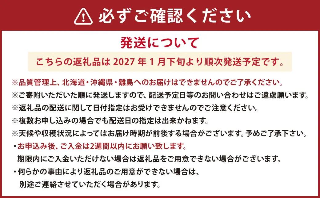 【3回定期便】あまおう 3パック あまおう いちご イチゴ 苺 果物 くだもの フルーツ【2027年1月下旬～4月下旬発送予定】