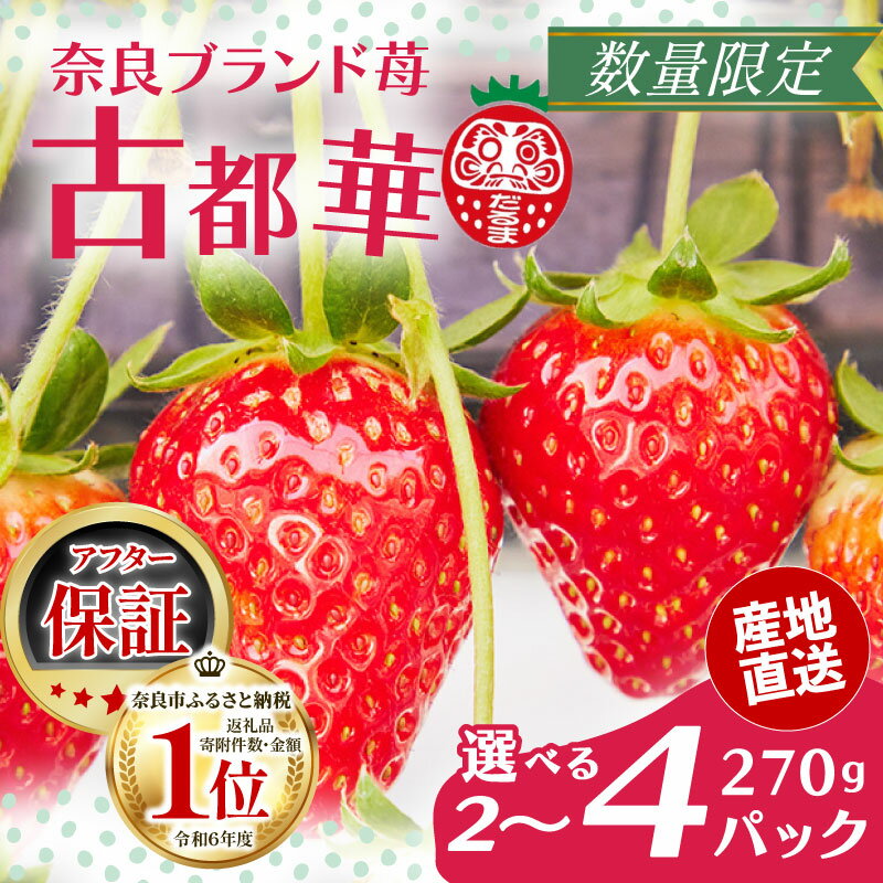 【ふるさと納税】 いちご 古都華 270g 選べる 2～4パック 数量限定 苺 ふるさと納税 イチゴ ブランド 大粒 旬 産地直送 フルーツ 果物 小分け 国産 贈答用 プレゼント ギフト 高級 厳選 限定 新鮮 産地 直送 甘い 人気 糖度 限定出荷 ふるさと 奈良市 奈良県 だるま