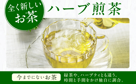 レモングラスティーバッグ2.5g×10包 / ティーバッグ お茶[AFAG014]
