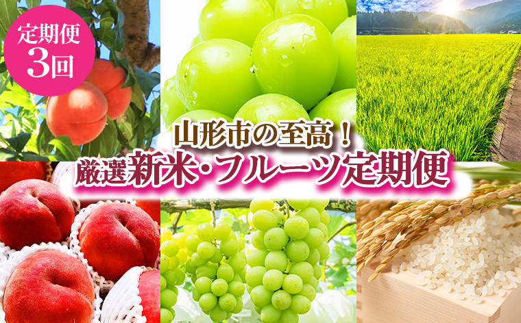 
【定期便3回】[山形の至高！]山形市厳選 新米・フルーツ定期便 【令和6年産先行予約】FS23-760
