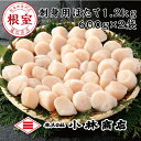 【ふるさと納税】【緊急支援品】＼漁業者応援品／刺身用ほたて1.2kg(600g×2P)＜鮭 魚卵 専門店 "根室" 蔵出 直送＞ ( ホタテ 帆立 ホタテ貝柱 帆立貝柱 根室 冷凍 刺身 刺身用 貝柱 天然 生食 小分け 中 魚介 海鮮) B-16054