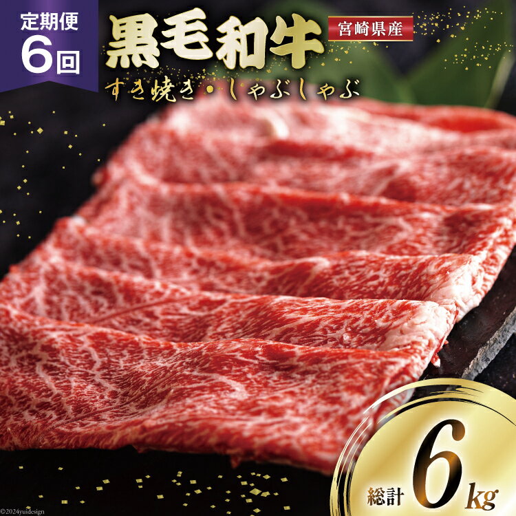 【ふるさと納税】6回 定期便 黒毛和牛 ウデ スライス (500g×2) 合計6kg [ミヤチク 宮崎県 美郷町 31au0049-NEW] すき焼き しゃぶしゃぶ 冷凍 国産 宮崎県産 和牛 送料無料 牛 肉 予約 ウデ 腕 濃厚 肉巻き 肉じゃが プルコギ ビーフペッパーライス 焼きしゃぶ 小分け セット