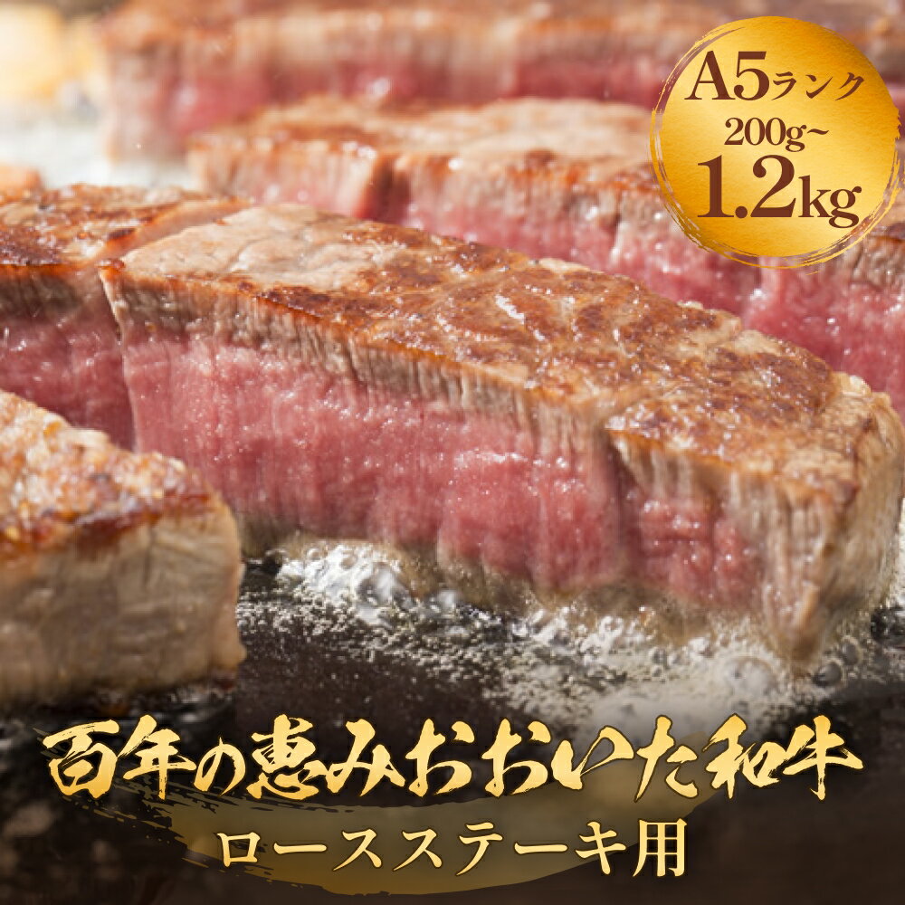 【ふるさと納税】 「百年の恵み おおいた和牛 」A5 ロースステーキ用 200g〜1.2kg おおいた和牛 ロースステーキ A5等級 黒毛和牛 大分県産 牛肉 高級肉 霜降り 和牛ステーキ 風味豊か 脂質 種雄牛 血統 高評価 冷凍