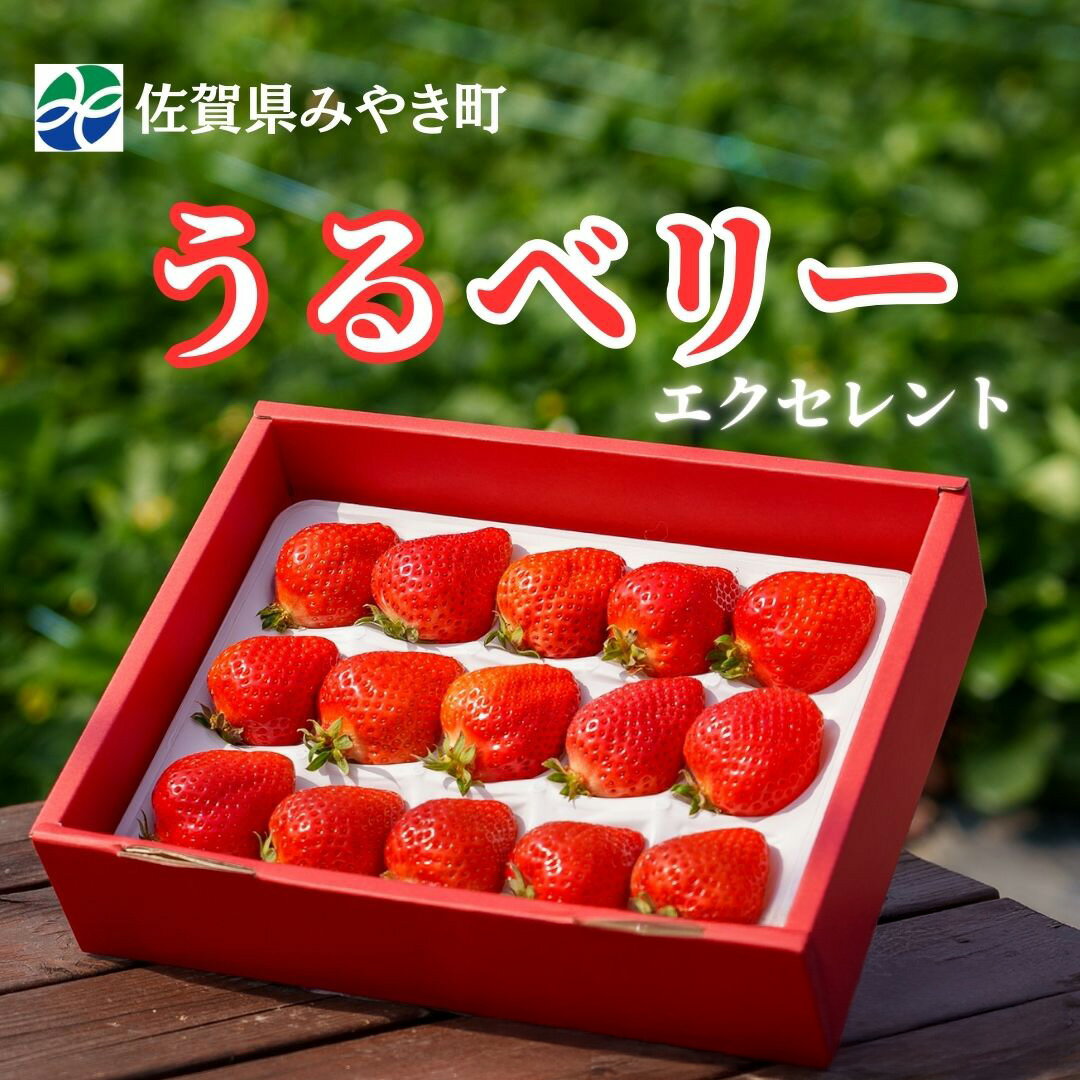 【ふるさと納税】【2025年11月中旬～2026年4月発送】エクセレント（GF003-004）