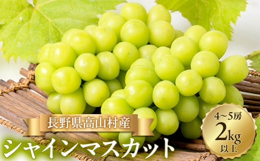 シャインマスカット4～5房(約2kg)＜離島・北海道・沖縄配送不可＞【1404944】