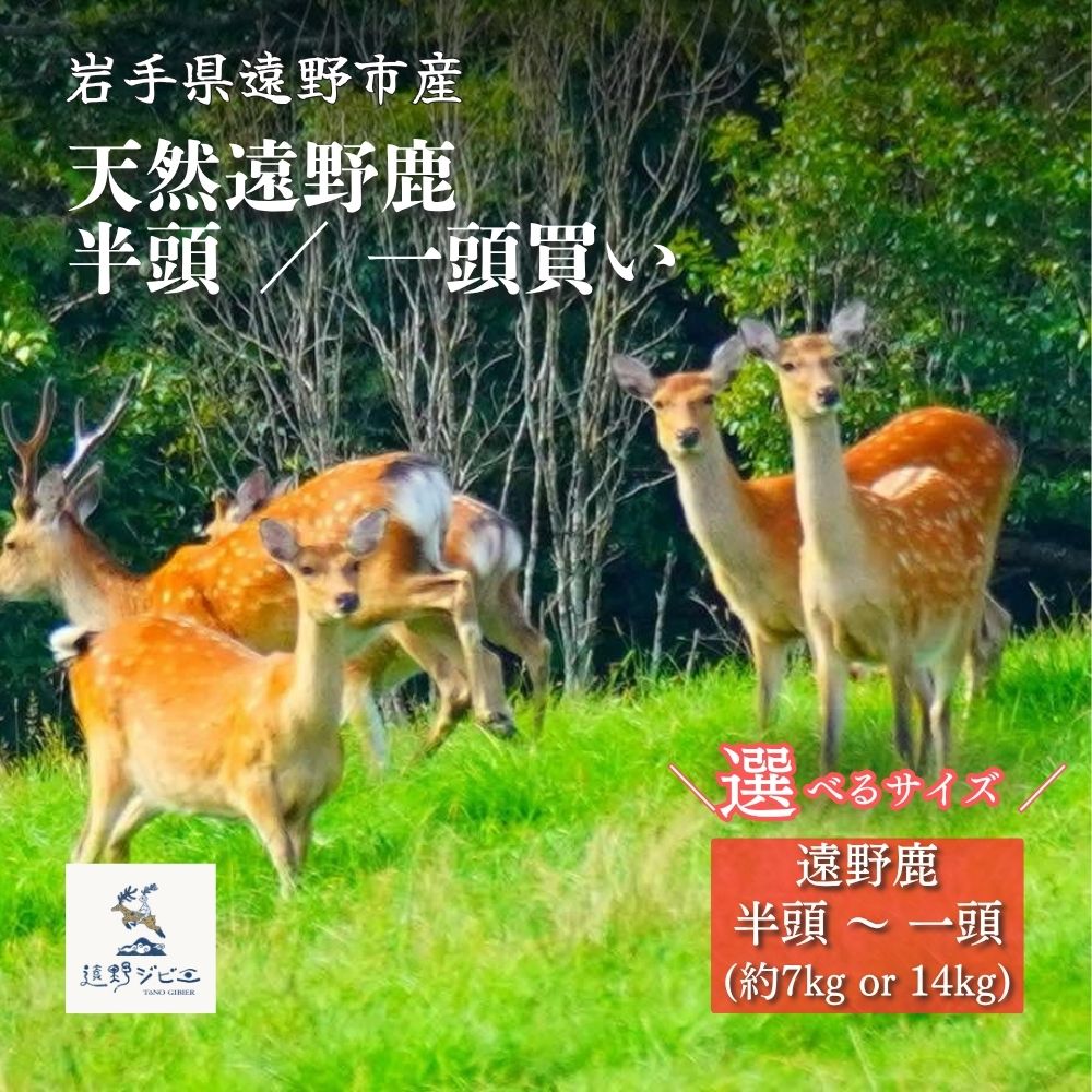 【ふるさと納税】ジビエ 鹿肉 遠野鹿 選べる 1頭 / 半頭買い カタ アバラ モモ / 遠野 ジビエ シカ肉 しか肉 岩手県 遠野市 冷凍 遠野ジビエの里 毘沙門商会 旨味 料理 厳選 ヘルシー 栄養 熟成 天然 自然 猟師 赤身肉 高タンパク 低カロリー ビタミン 鉄分 DHA 送料無料