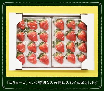 【令和8年発送】宮崎県産いちご　さがほのかセット（大粒×2パック・L～2L×2パック） 【 国産 イチゴ 苺 くだもの 果物 期間限定 数量限定 】