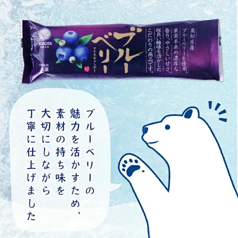 【アイス】ブルーベリー アイス 80ml×20本