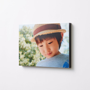 富士フイルム WALL DECOR カジュアル A3 面種: グロッシー | インテリア 写真 フォト 