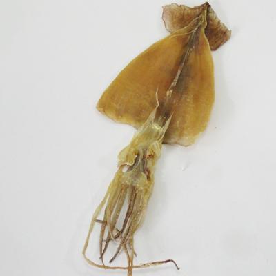 ふるさと納税 せたな町 スルメ62枚セット |  | 02