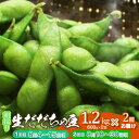 【ふるさと納税】【令和7年産 先行予約】鶴岡市特産　朝採りだだちゃ豆　1.2kg（600g×2袋）×2回　旬2回お届け 8/4～15頃・8/18～30頃　新鮮 鮮度保持袋 チャックつき大袋 自家採種