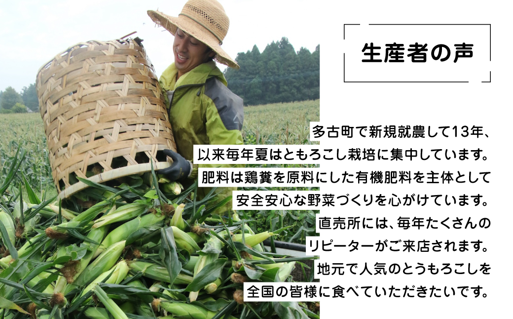 大村農場の朝採り極甘とうもろこしゴールドラッシュ13本(6月下旬から発送)【配送不可地域：離島】 TAKG002