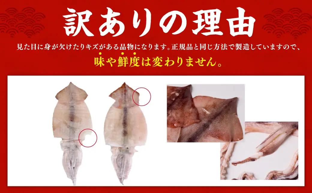 【訳あり】するめいか一夜干し 6～7枚 計900g 魚介類 いか するめいか 一夜干し 加工品 おつまみ 訳あり するめいか 【136_1988】