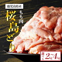 【ふるさと納税】 鹿児島県産 桜島どり 鶏もも肉 | もも肉 鳥もも肉 モモ肉 鳥もも 鶏もも 地鶏 肉 お肉 精肉 鶏肉 鶏 鳥 食品 食べ物 鳥肉 とり 鹿児島県大崎町 九州 特産品 お取り寄せ 国産 名産品 グルメ ご当地