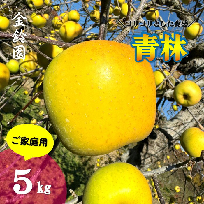 【ふるさと納税】＼予約受付 11月下旬より発送開始予定／【北上市産 りんご 】 青林 ( セイリン ) 【家庭用】5キロ (約13〜20玉) 林檎 リンゴ 5kg 幻のりんご せいりん 国産 産地直送 フルーツ 果物 岩手県 北上市 D0446 金鈴園