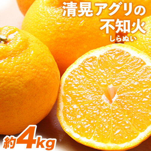 【ふるさと納税】『清晃アグリ』の不知火(しらぬい) 【日付指定不可】 予約受付中 フルーツ 旬★あのデコポンと同品種★約4kg(L-4Lサイズ)10玉-16玉前後 熊本県玉名郡玉東町『清晃アグリ』不知火《3月上旬-3月下旬頃出荷》