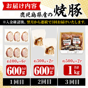 No.1206 ＜定期便・全3回＞鹿児島県産焼豚！(総計2.2kg・100g×6P/300g×2P/500g×2P)タレ付き！ 焼豚 定期便 お中元 お歳暮 ギフト 贈答 詰め合わせ 豚肉 タレ 国産