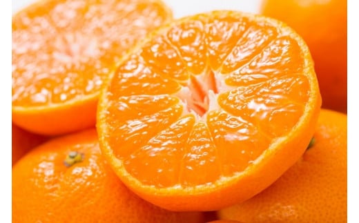 田村みかん 特選ギフト品 3kg サイズおまかせ 赤秀/紀州和歌山有田郡湯浅町田村地区産 ◆2026年11月下旬～2027年1月中旬頃に順次発送予定(お届け日指定不可)　紀伊国屋文左衛門本舗【kstb